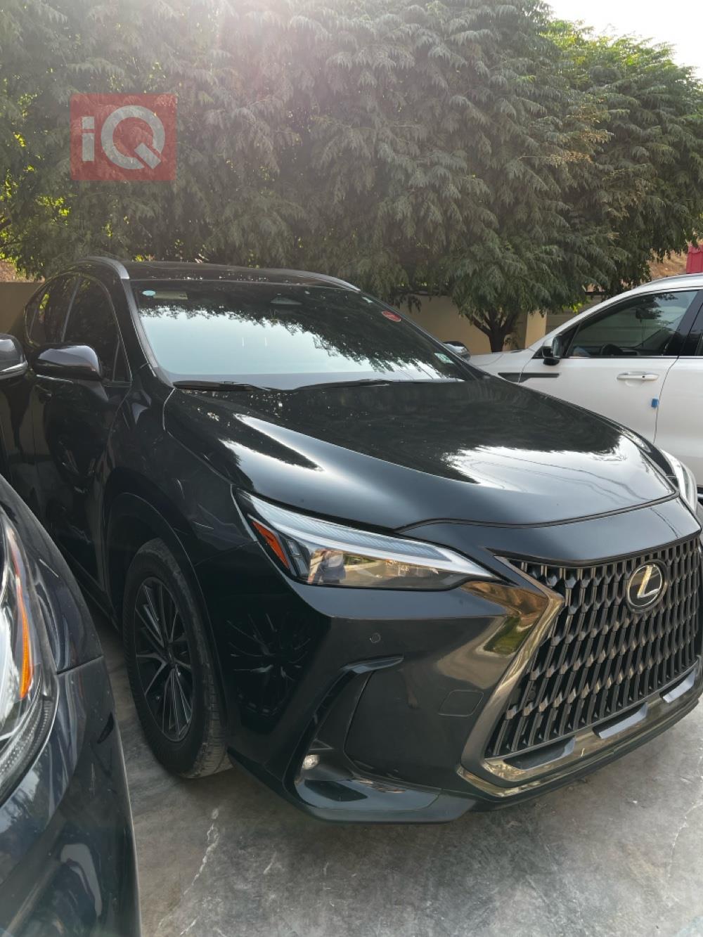 لێکزس NX